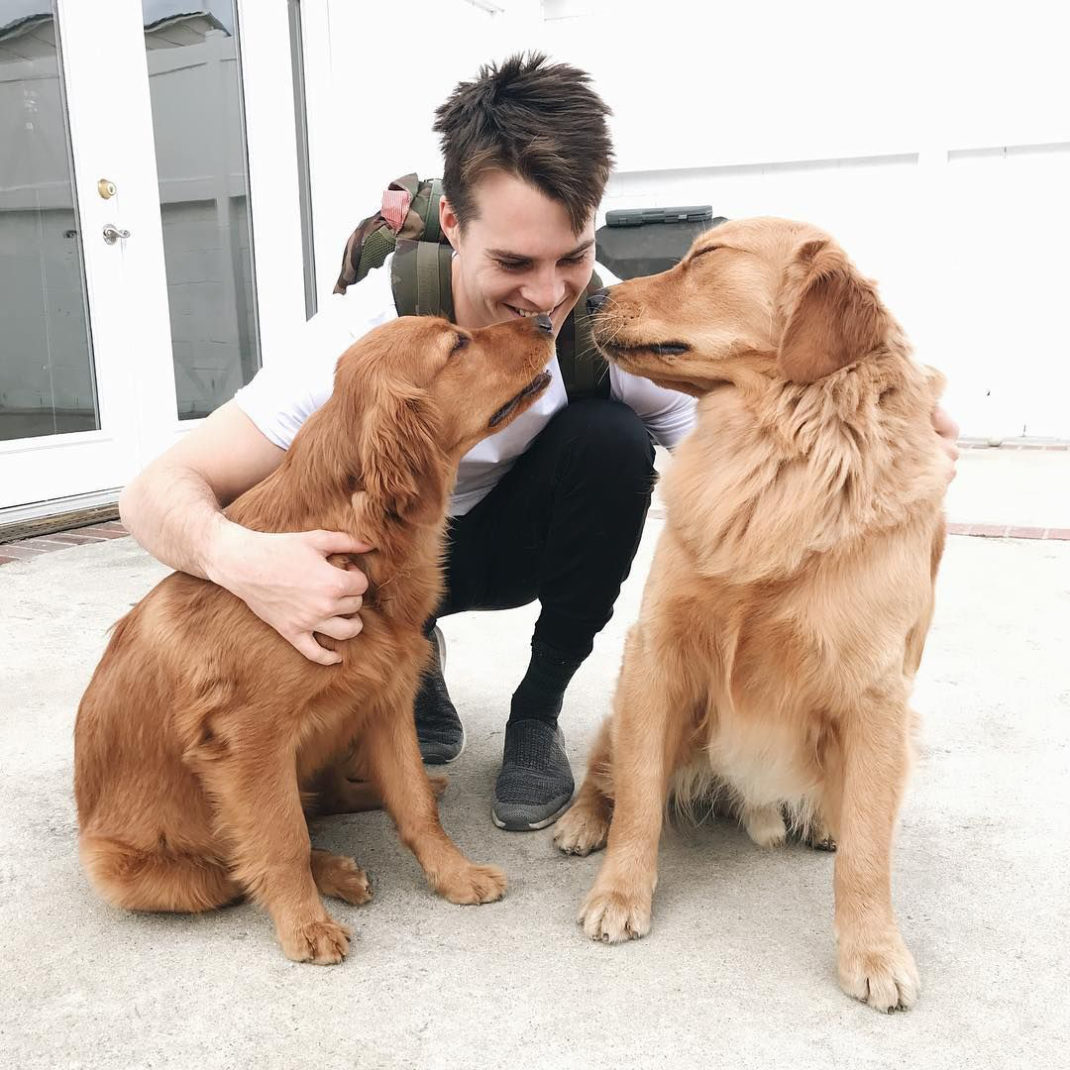 Welcher Hund passt zu mir? DISPLAYMagazin