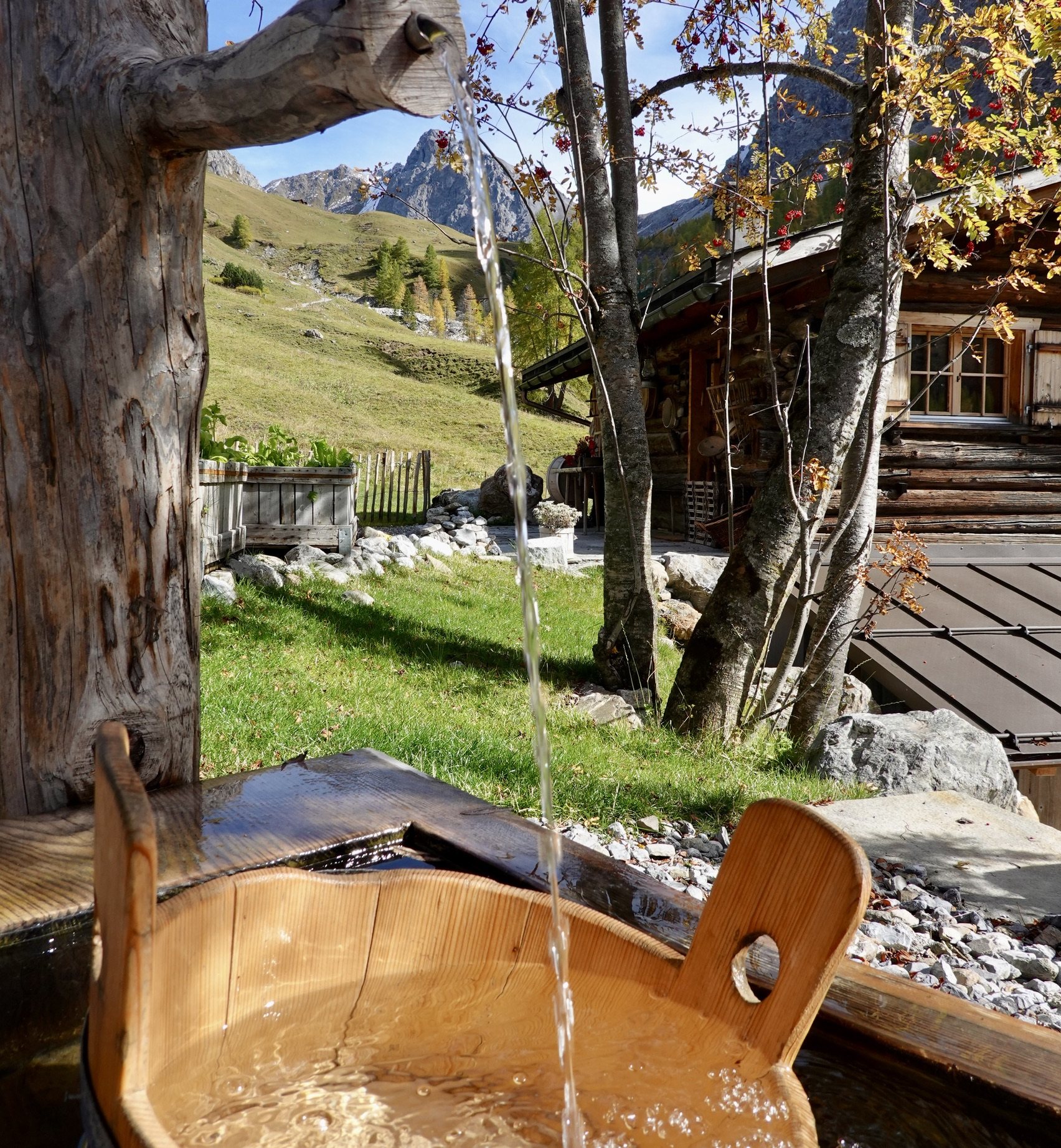 Arosa