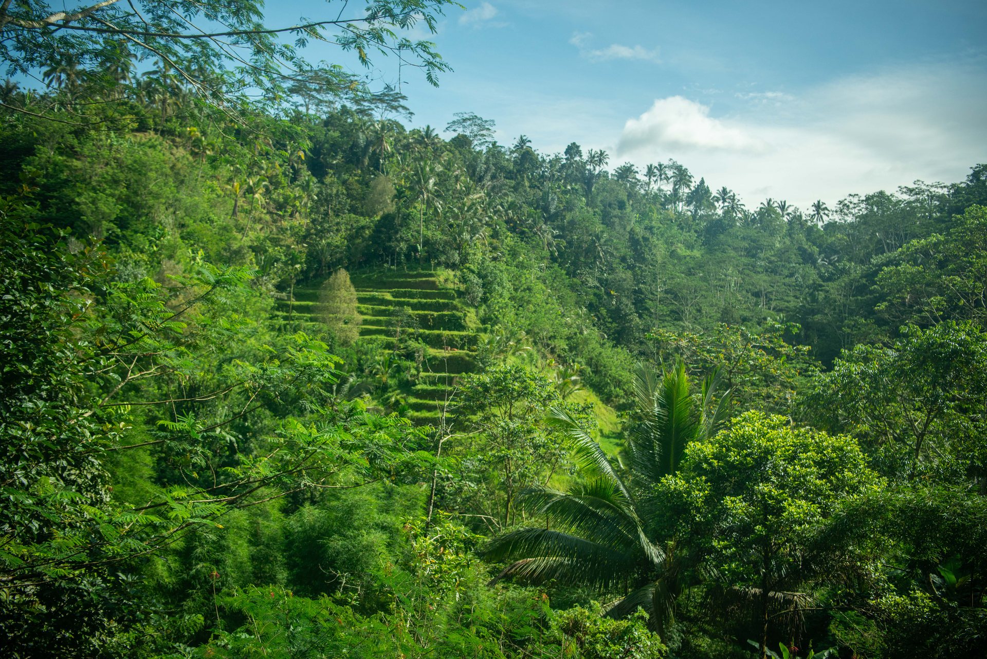 Bali
