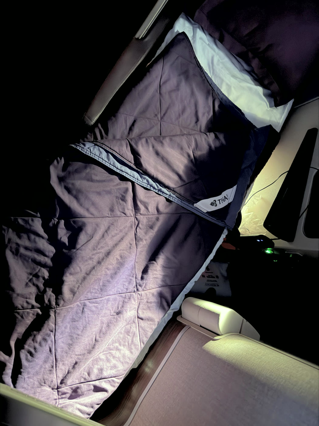 Thai Airways Business Class