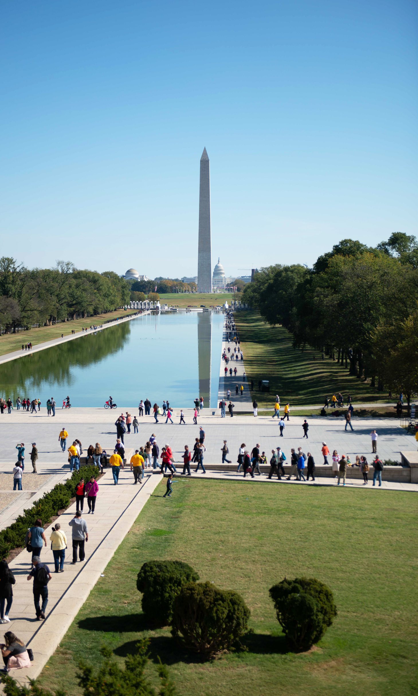 Washington D.C.