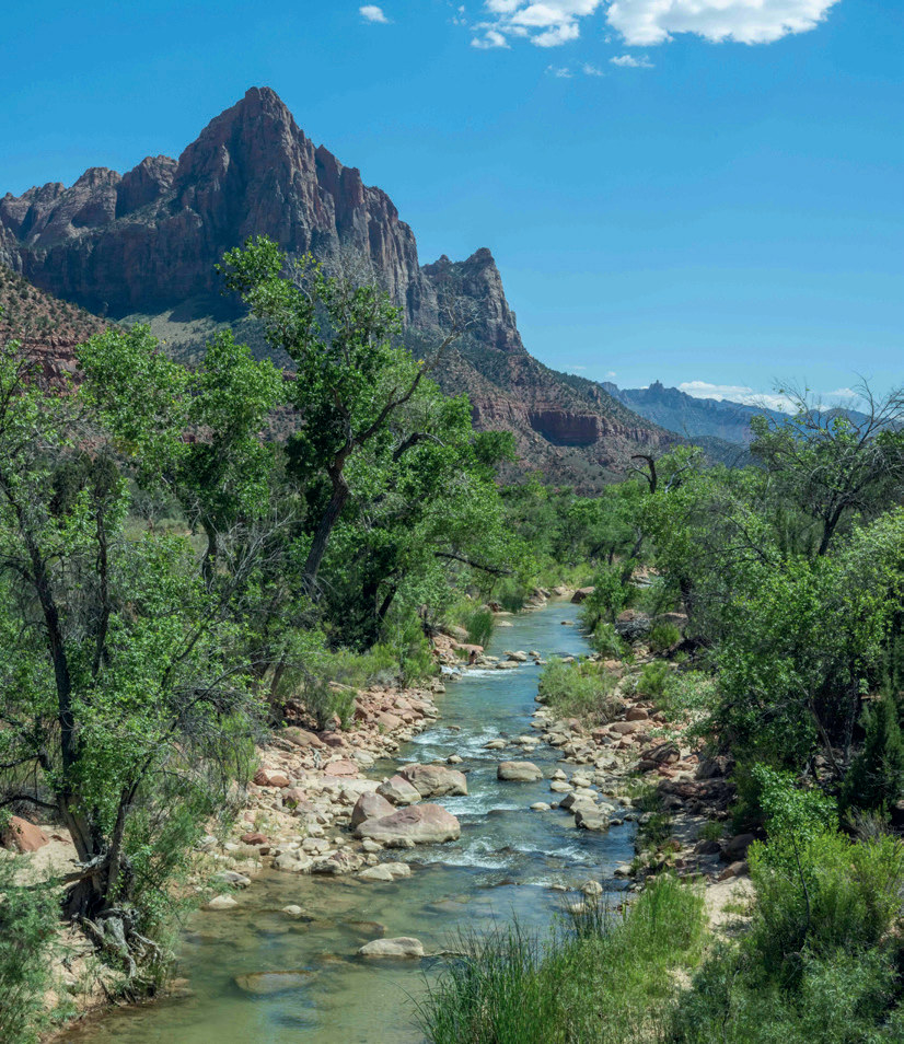 Zion Nationalpark