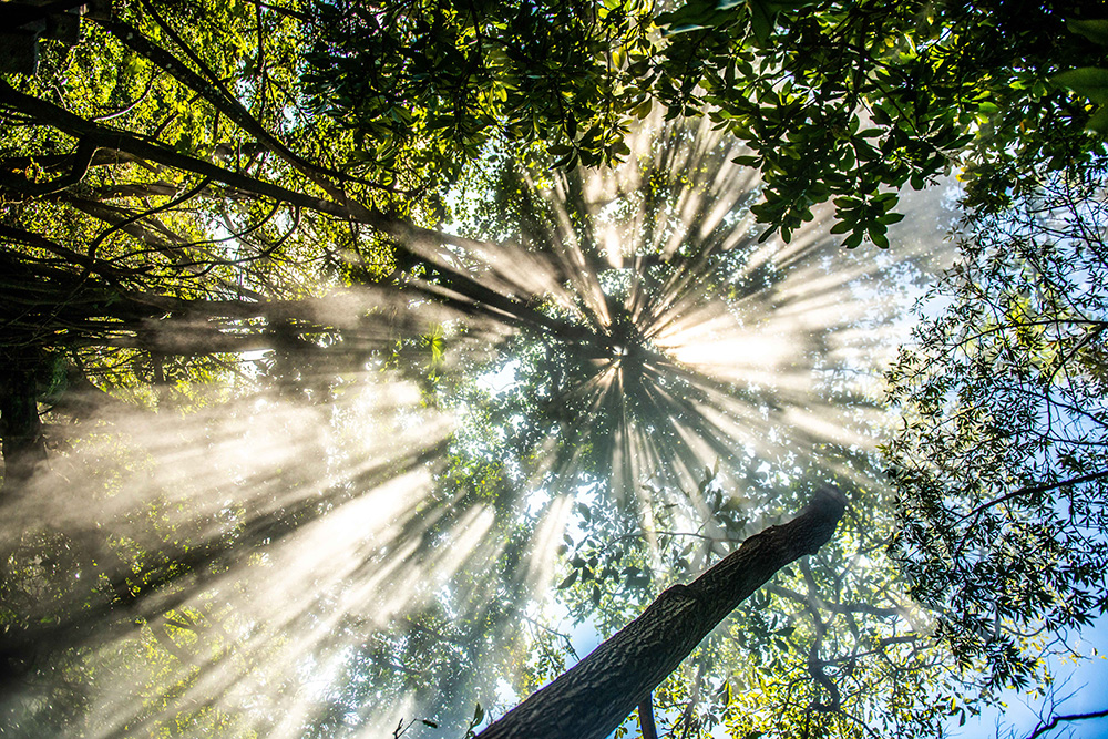 Ungewohnte Perspektive: Nationalpark Rincón de la Vieja in Costa Rica. 