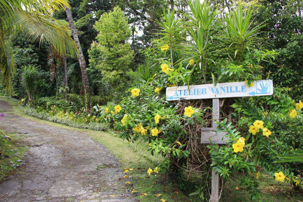 La-Reunion- Escale Bleue