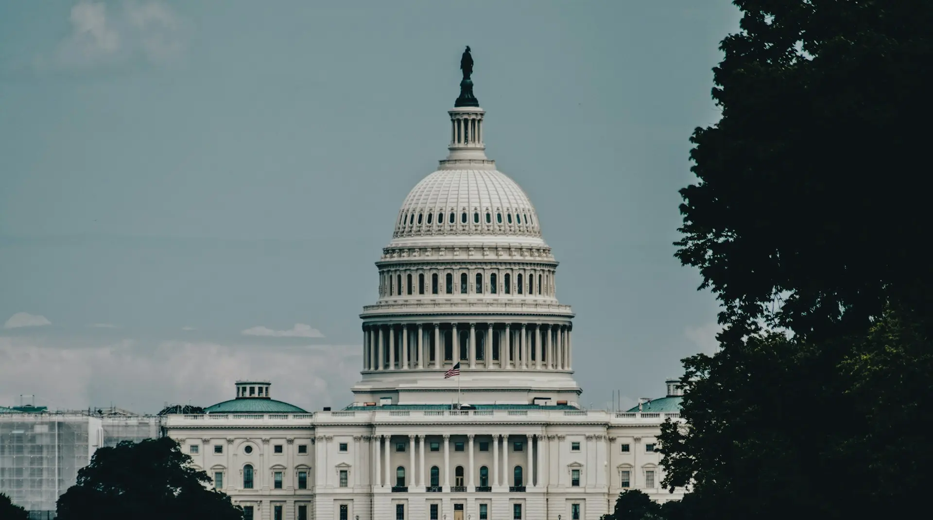 Das US-Kapitolgebäude in Washington D.C. vor bewölktem Himmel, umgeben von Bäumen.