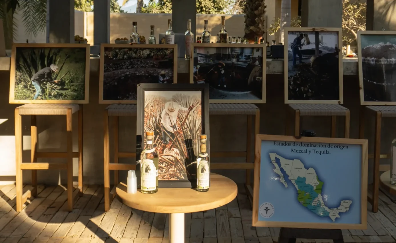 Une table avec deux bouteilles de mezcal et une illustration du processus de culture qui se cache derrière.