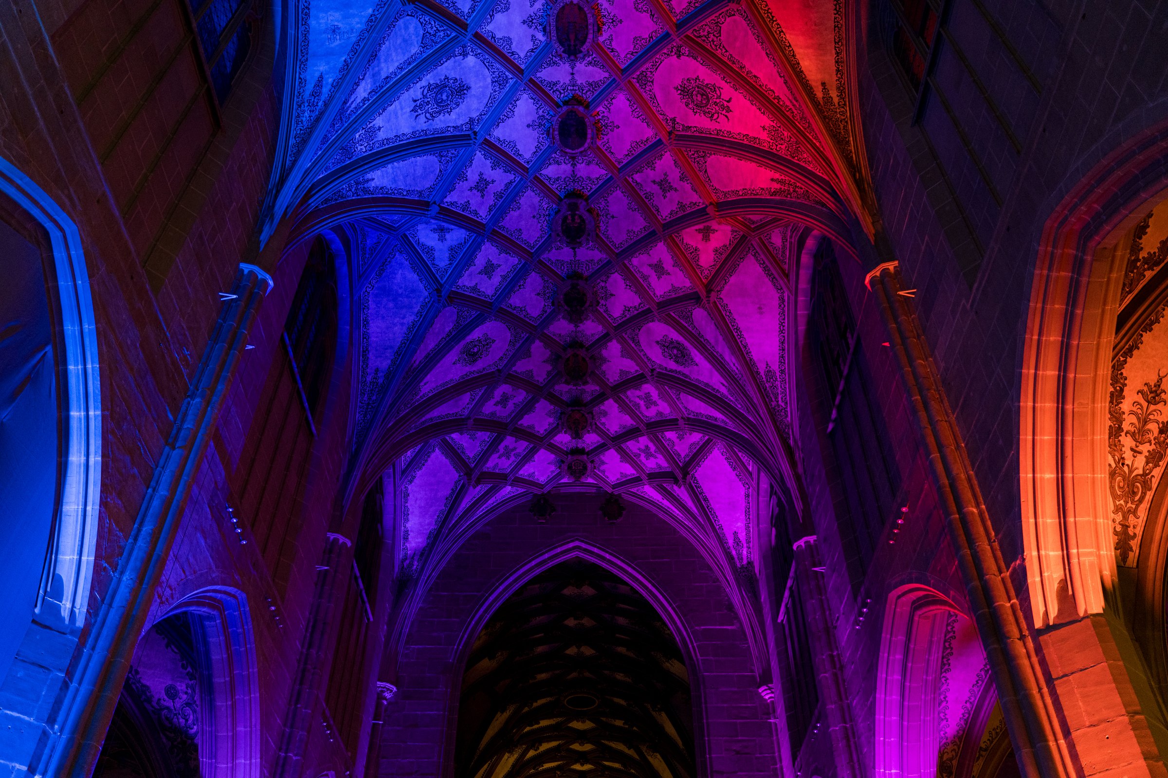 Das Gewölbe des Berner Münsters in violettem, rotem und blauem Licht